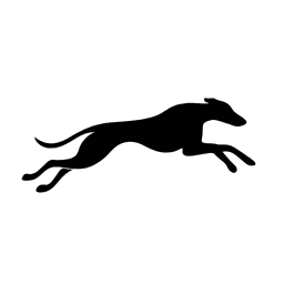 Whippet leap dark