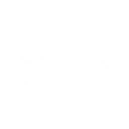 Whippet leap